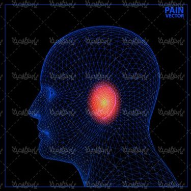 3D image of human head