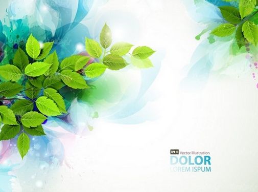 وکتور حاشیه برگ