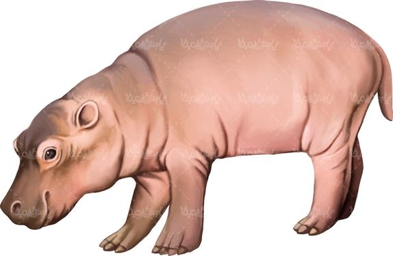 وکتور حیوان