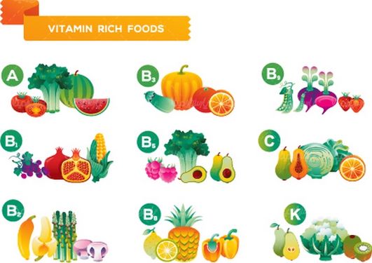 وکتور ویتامین میوه ها
