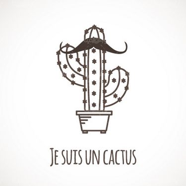 وکتور کاکتوس