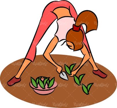 وکتور باغبانی