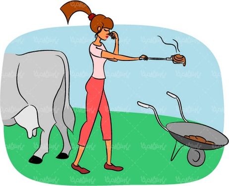 وکتور پهن گاو