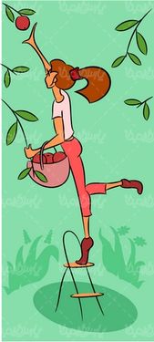 وکتور چیدن سیب