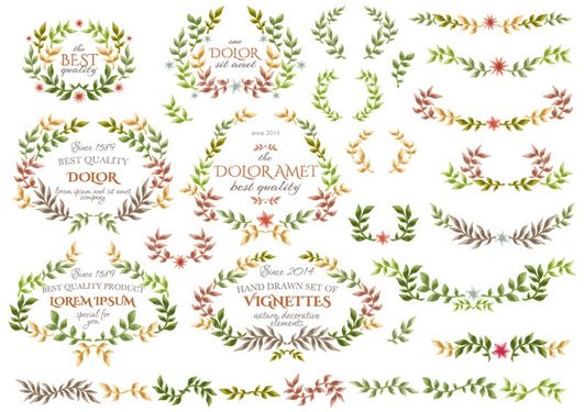 وکتور فریم گل