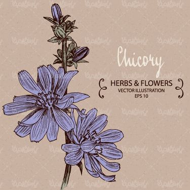 وکتور گل و بوته