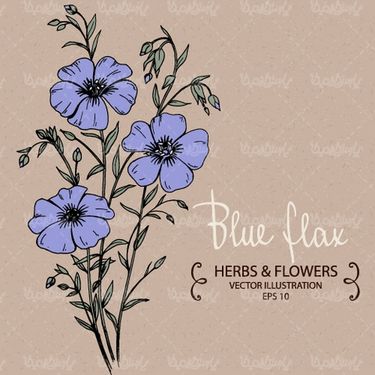 وکتور گل و بوته