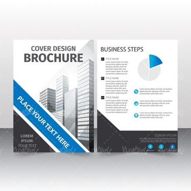 Vector brochure