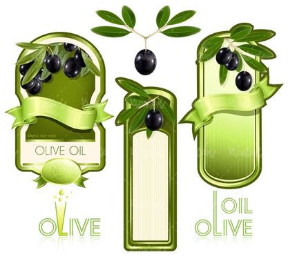 Olive Vector