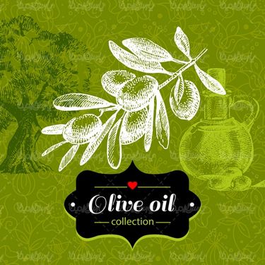 Olive Vector