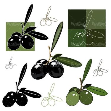 وکتور روغن زیتون