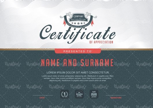 Certificate vector