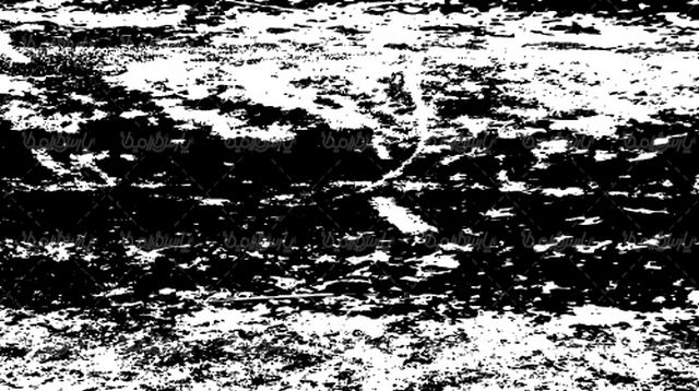 وکتور تکسچر