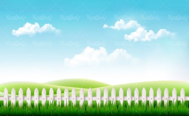 وکتور منظره