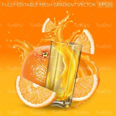 Orange juice vector