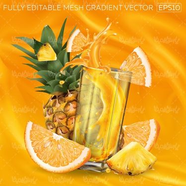 Orange juice vector