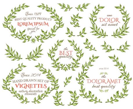 وکتور فریم گل