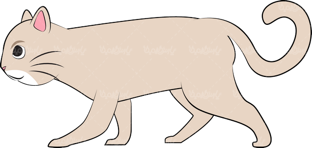 Cat Vector