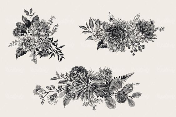 وکتور گل و بوته