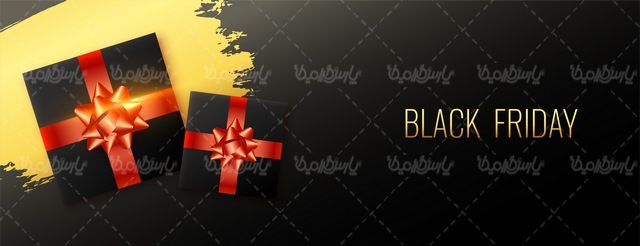 Black Friday vector label