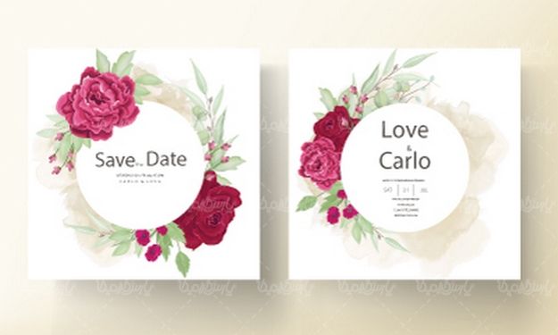 وکتور فریم گل