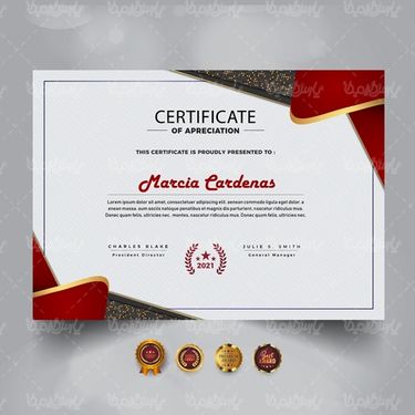 Certificate vector