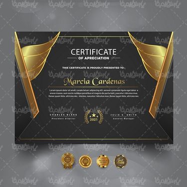 وکتور طرح خام