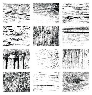 وکتور تکسچر