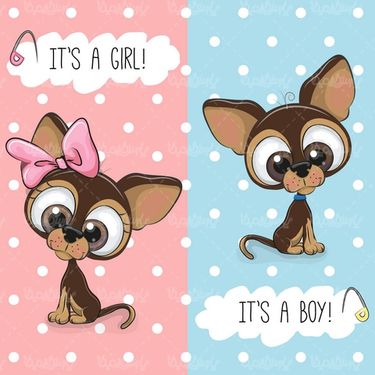 وکتور سگ خانگی