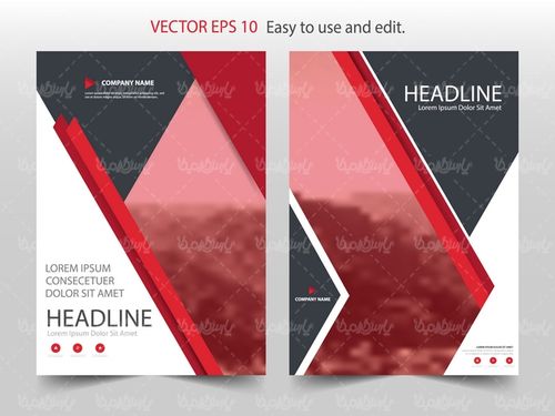 وکتور طرح خام