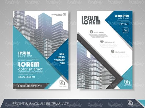 وکتور طرح خام