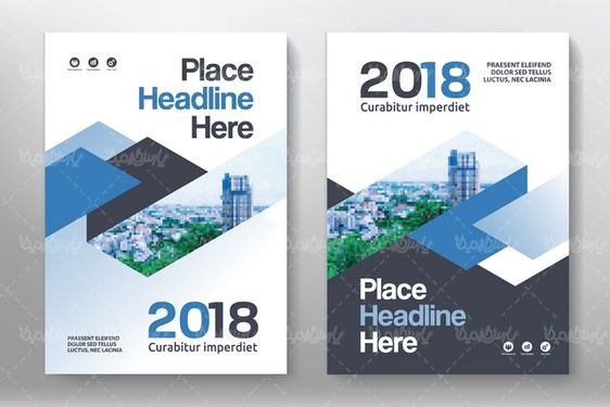 وکتور طرح خام