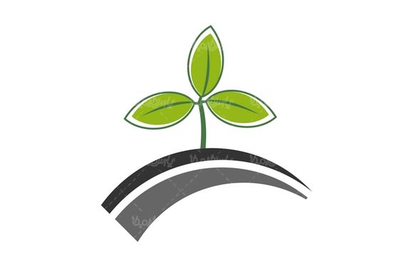 وکتور نماد برگ