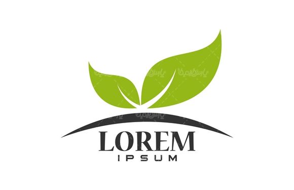 وکتور نماد برگ