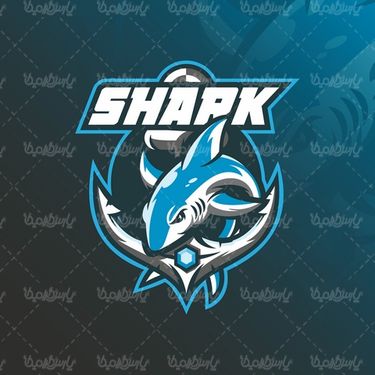 وکتور کوسه ماهی