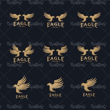 Vector Eagle