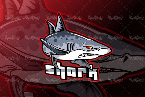 وکتور کوسه ماهی