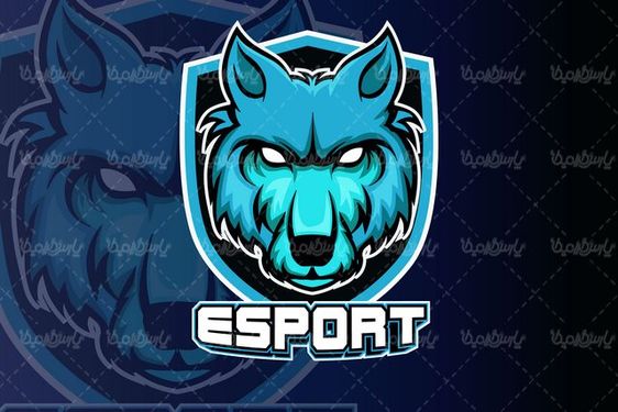 Computer game vector