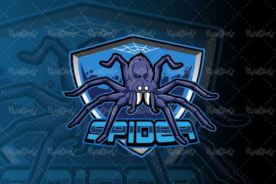 وکتور عنکبوت