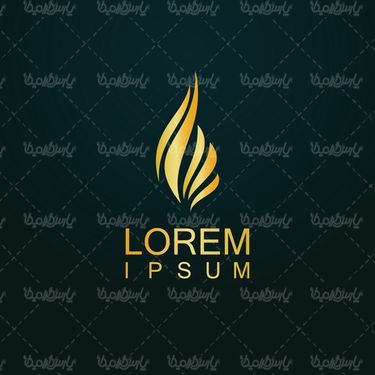 Golden logo vector