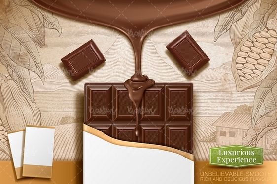 Cocoa chocolate vector