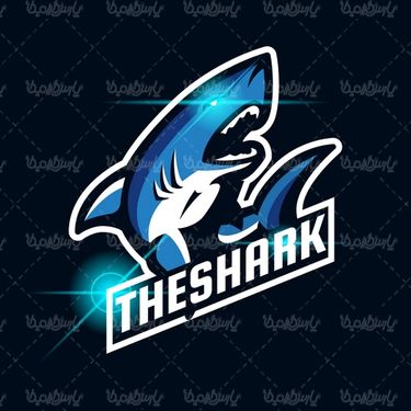 وکتور کوسه ماهی