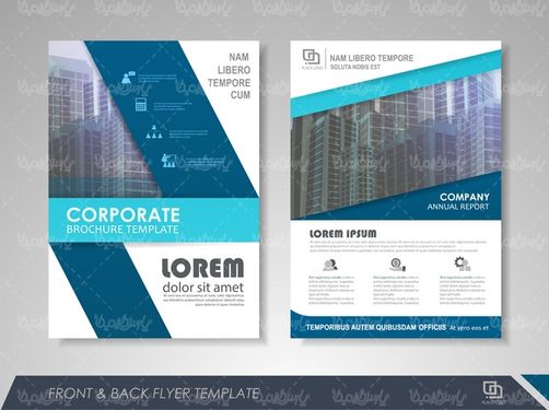 وکتور طرح خام