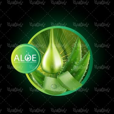 موکاپ آلوورا