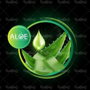 موکاپ آلوورا