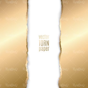 وکتور پس زمینه