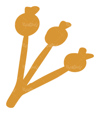 وکتور خشخاش