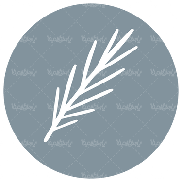 وکتور آیکن برگ