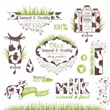 وکتور فریم گل