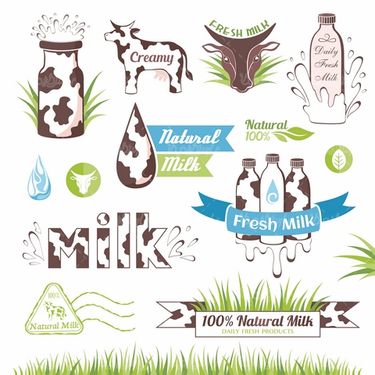 وکتور شیر گاو